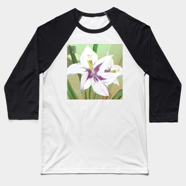 A Peacock Gladiolus Baseball T-Shirt by trishaclarkin